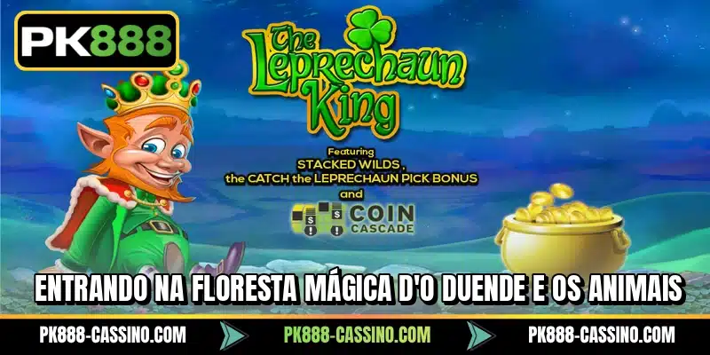 Entrando na floresta mágica d'O duende e os Animais