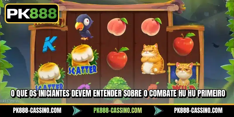 O que os iniciantes devem entender sobre o Combate Hu Hu primeiro